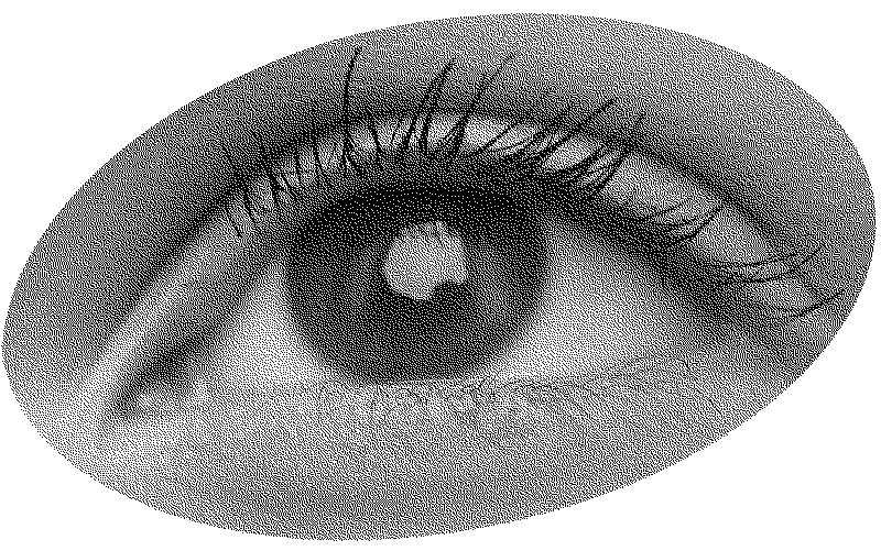 Watch the code unfold